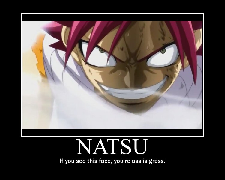 Fairy-Tail-Meme-the-fairy-tail-guild-34932351-750-600